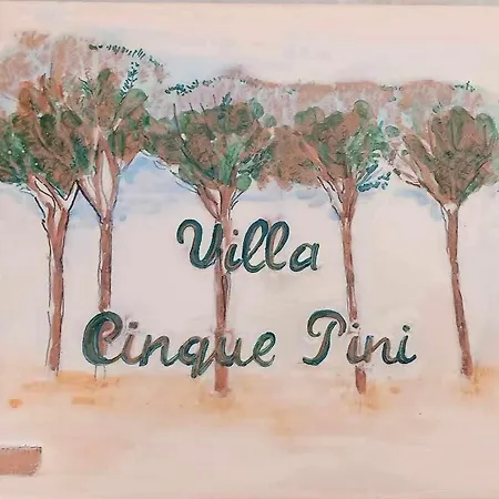 Cinque Pini - For 10 People Locorotondo