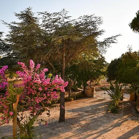 Villa Cinque Pini - For 10 People Locorotondo